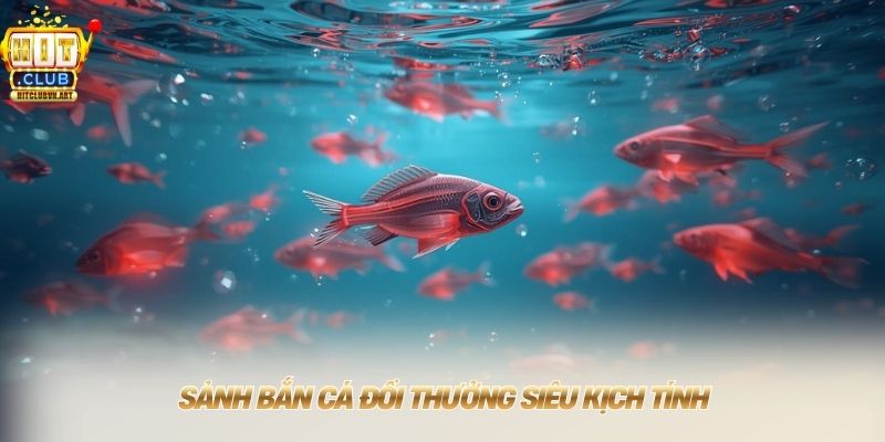 Hitclub Rickyse - Link Tải Hit Club Đổi Thưởng Nhận 50 USD 12 Sảnh bắn cá đổi thưởng siêu kịch tính